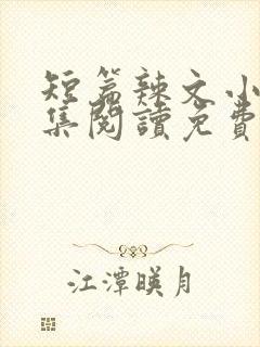 短篇辣文小说全集阅读免费封面