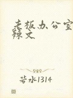 老板办公室系列辣文