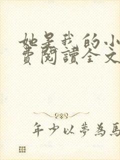 她是我的小说免费阅读全文封面