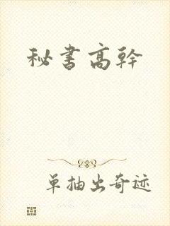 秘书高干