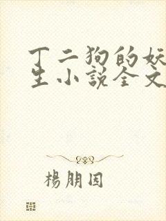 丁二狗的妖孽人生小说全文无删减