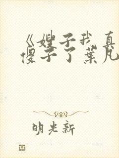 《嫂子我真不是傻子了叶凡》