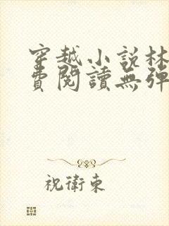 穿越小说林丰免费阅读无弹窗