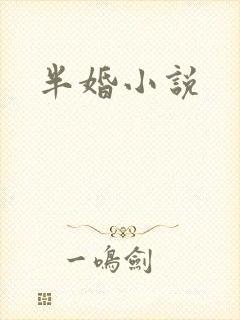半婚小说