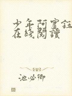 少年阿宾钰慧篇在线阅读