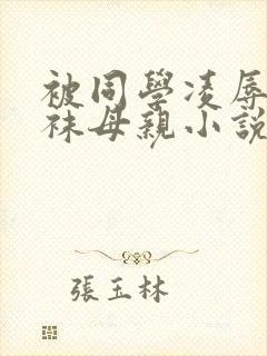 被同学凌辱的丝袜母亲小说封面