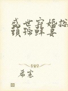 盛世宠婚总裁的头号鲜妻