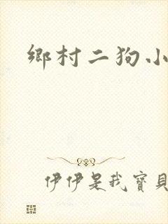 乡村二狗小说