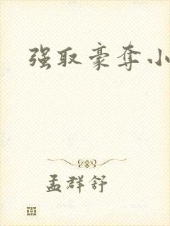 强取豪夺小说