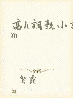 高h调教小说sm封面