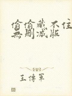 偷偷藏不住小说无删减版封面