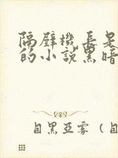 隔壁机长是饿狼的小说黑暗森林笔趣阁封面