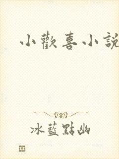 小欢喜小说