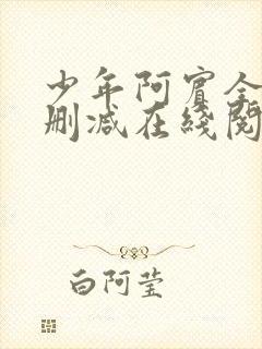少年阿宾全文无删减在线阅读