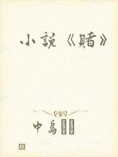 小说《赌》
