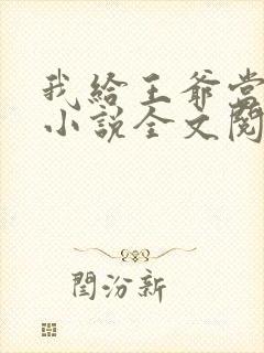 我给王爷当奶娘小说全文阅读