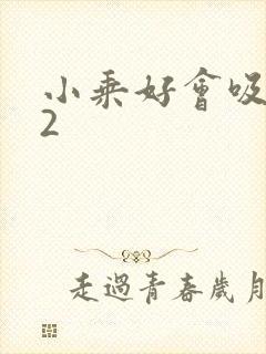 小乘好会吸1V2封面