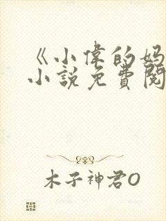 《小伟的妈妈》小说免费阅读