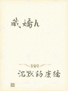 藏娇h