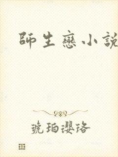 师生恋小说