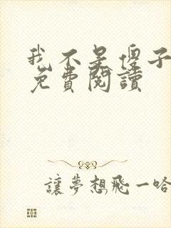 我不是傻子叶凡免费阅读