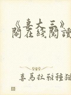 《妻大三》笔趣阁在线阅读封面