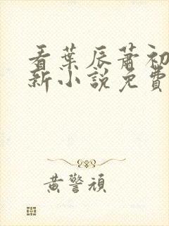 看叶辰萧初然更新小说免费全集
