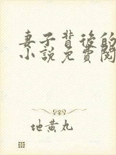 妻子背后的秘密小说免费阅读