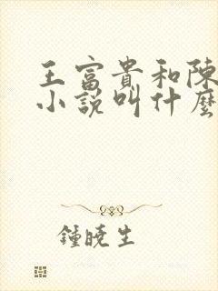 王富贵和陈芸的小说叫什么