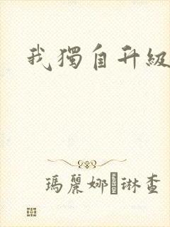 我独自升级2