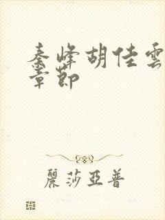 秦峰胡佳云更新章节封面