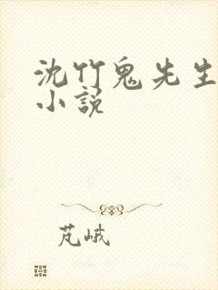 沈竹鬼先生什么小说封面
