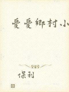 爱爱乡村小说