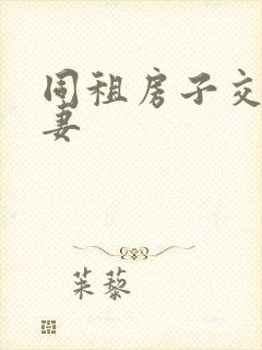 同租房子交换夫妻封面