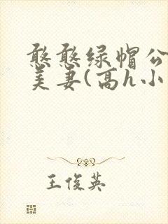 憨憨绿帽公和淫美妻(高h小说封面