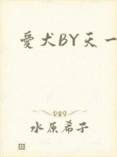 爱犬BY天一