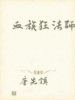 血族狂法师封面