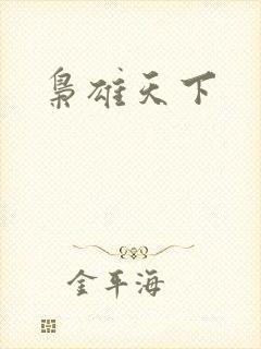 枭雄天下
