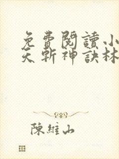 免费阅读小说九天斩神诀林辰封面