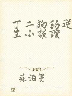 丁二狗的逆袭人生小说读
