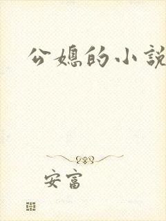 公媳的小说