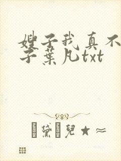 嫂子我真不是傻子叶凡txt