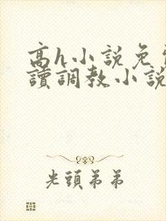 高h小说免费阅读调教小说免费阅读封面