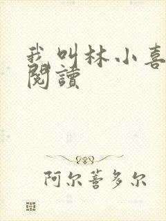 我叫林小喜全文阅读