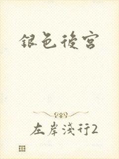 银色后宫封面