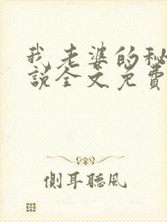 我老婆的秘密小说全文免费阅读