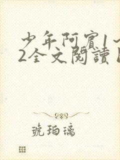 少年阿宾1～72全文阅读目录