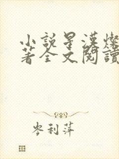 小说星汉灿烂原著全文阅读
