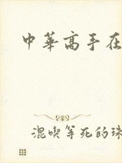 中华高手在异世封面