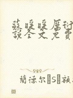 苏暖暖厉衍琛小说全文免费阅读